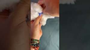 Инструкция по сборочке от BALORI для артикула: 340956331