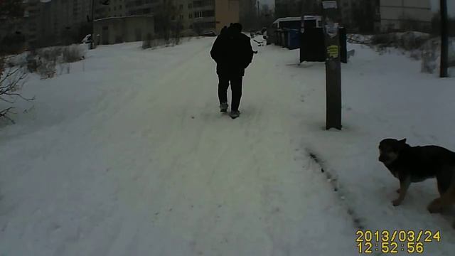 Снегопад в Сумах 24 марта смотреть онлайн