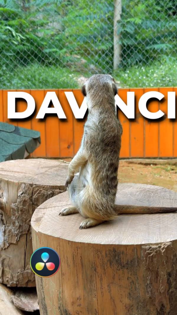 Текст за объектом в DaVinci Resolve за минуту! смотреть онлайн