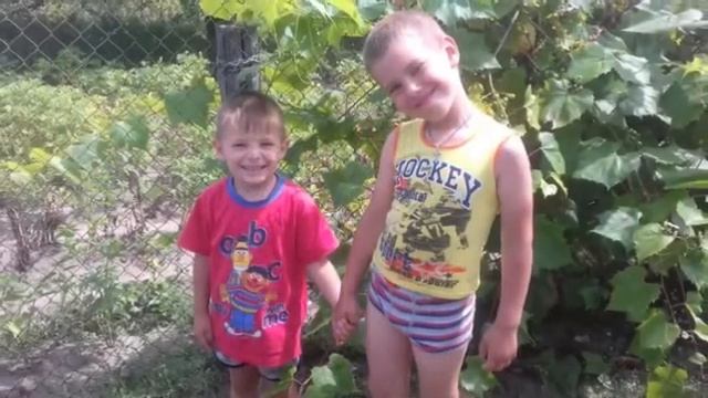 "ГАЛИНА И ВЛАДИМИР" исп ГАЛИНА ГАРМОНИСТ(САМОУЧКА) смотреть онлайн