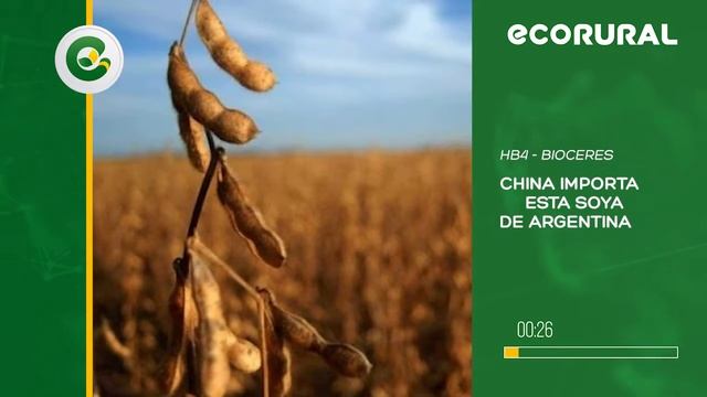 CHINA IMPORTARA SOYA ARGENTINA RESISTENTE A LA SEQUIA смотреть онлайн