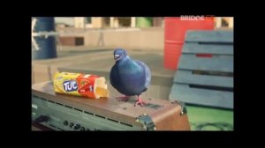 Реклама на BRiDGE TV 28.10.2016