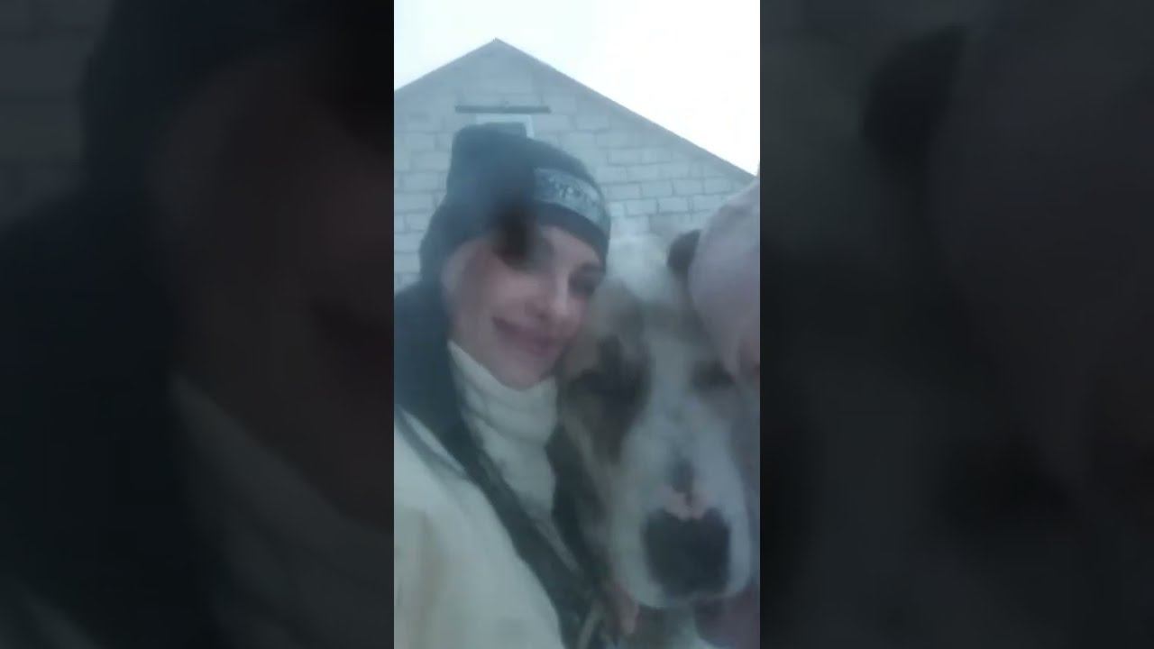 Лапароскопическая стерилизация крупной суки (отзыв) смотреть онлайн