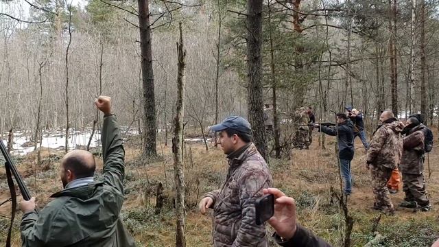 Охота для туристов. ФАЗАН И Заяц смотреть онлайн