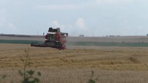 уборка зерновых и тюкование соломы