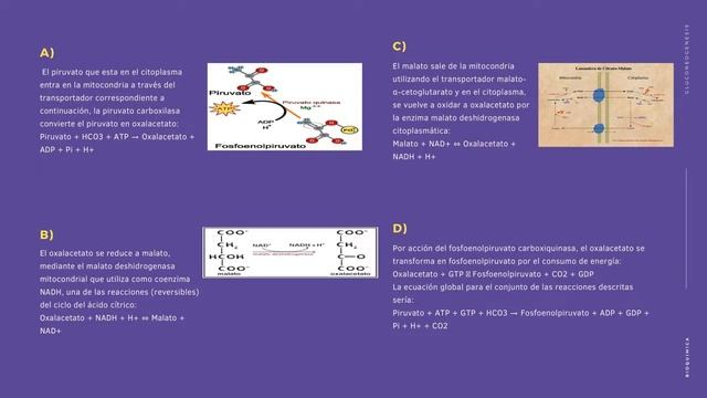 Movavi Clips Video 1 смотреть онлайн