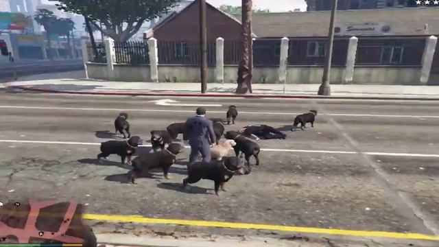 GTA V Animal Ark shelter GTA V How to download and install Animal Ark смотреть онлайн