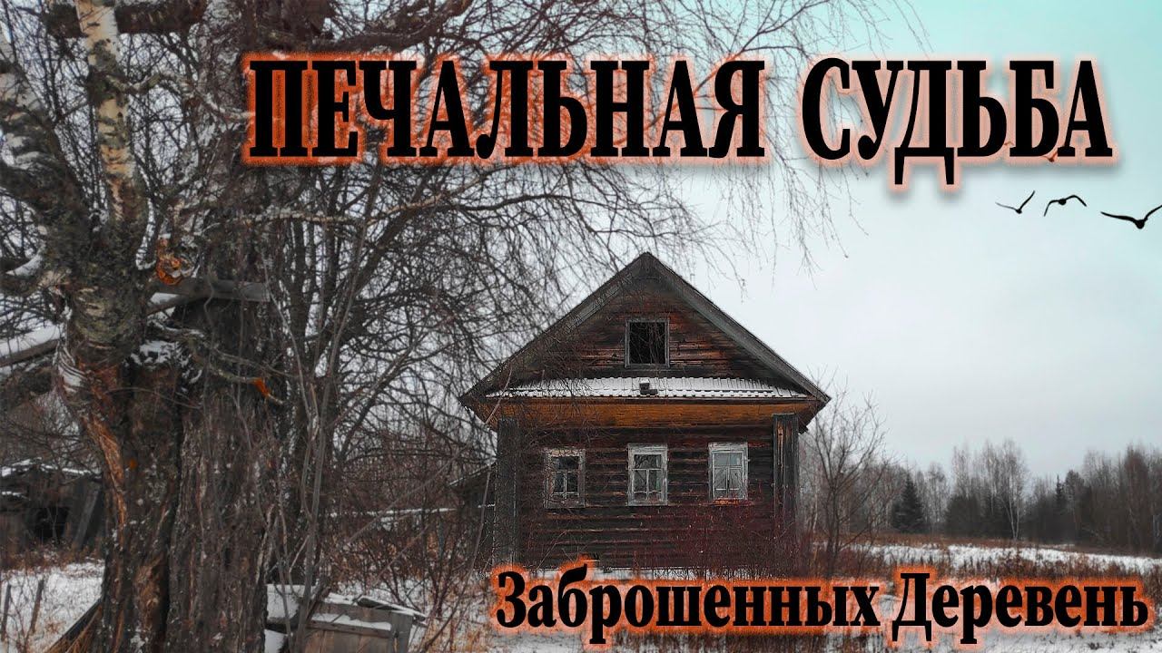 ДОМ ВЕТЕРАНА, Старые ФОТОГРАФИИ и много ИНТЕРЕСНЫХ находок в ЗАБРОШЕННОЙ ДЕРЕВНЕ смотреть онлайн