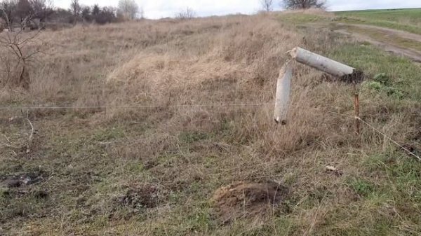 video5452059505909068006