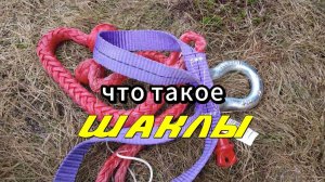 Что такое шаклы?