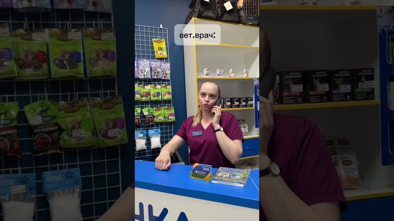 Тьфу #ветеринар #юмор #ветклиникакосточка #vet #котик #cat смотреть онлайн