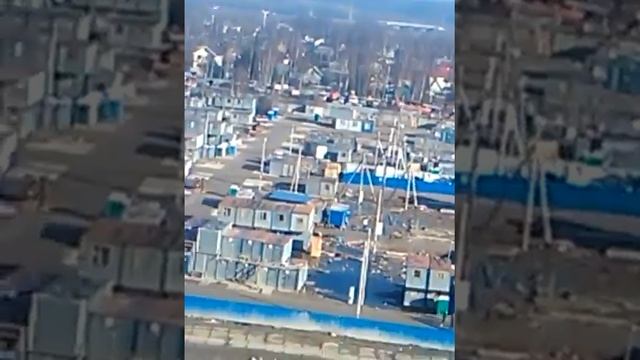 ФМС в Парнасе смотреть онлайн