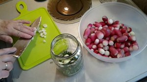 Редиска на зиму консервация  #рецепты #редис #консервация  #заготовкиназиму #recipe #назиму #radish
