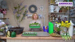 🏠Начало апреля — это финишная прямая в подготовке к новому дачному сезону.