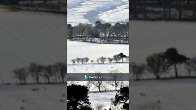 A Winter Fantasia смотреть онлайн