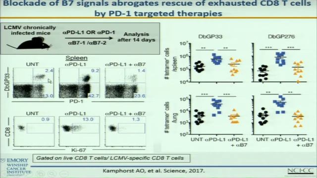 Medicine Grand Rounds: Immunotherapy in Lung Cancer 1/16/18 смотреть онлайн