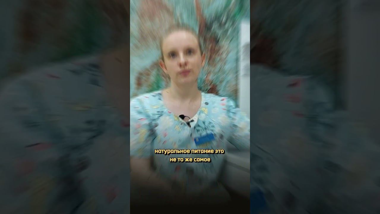 Натуральный или промышленный корм смотреть онлайн