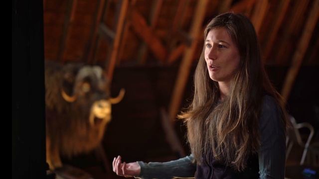 Agriculture in Alaska: The Musk Ox Farm смотреть онлайн