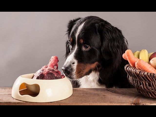 Съедобные и несъедобные продукты смотреть онлайн