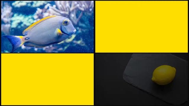 Modern Typography / Essential Graphics / Mogrt ▶▷ Premiere Pro Trends ◁◀ смотреть онлайн