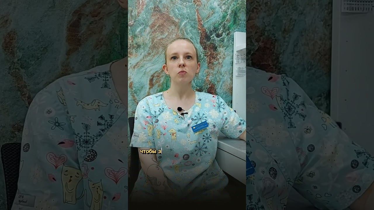 Все тянет в рот #ветеринар #ветклиникакосточка #зоопсихолог #ветеринарнаяклиника #кинолог смотреть онлайн