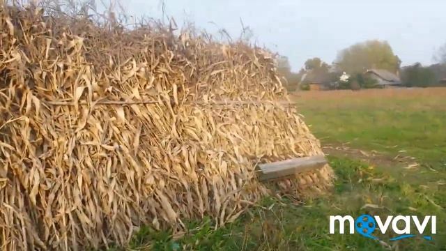 біоферма в селі свині кози вівці качки смотреть онлайн