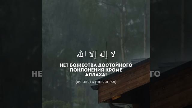 Праздничный такбир☝️ смотреть онлайн