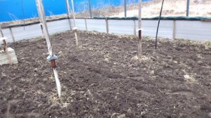 Подготовка полей и загонов для улитки. Сезон 2025г., улитка Мюллер.