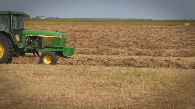604N Corn stalk смотреть онлайн