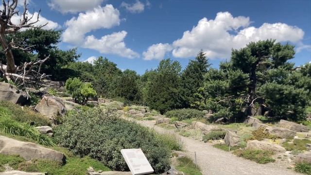 Montreal, QC - Aug. 12-16, 2021 - Mount Royal Chalet, Botanical Gardens & Old Port of Montreal. смотреть онлайн