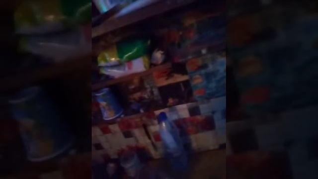 собачий обман😥КУШВА, нехристи подкинули заведомо ложное...💔 смотреть онлайн