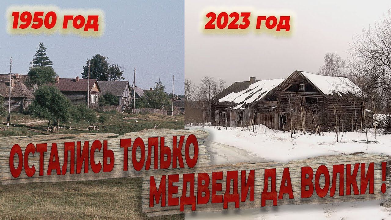 Кругом леса и заброшенная деревня рядом со старым московским трактом ,последние опустевшие дома , смотреть онлайн