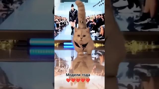 Топ - МОДЕЛИ Года смотреть онлайн