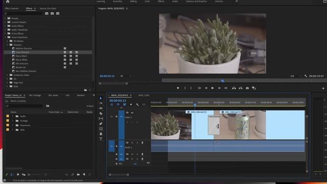Adobe Premiere: Part 2. Add Transitions