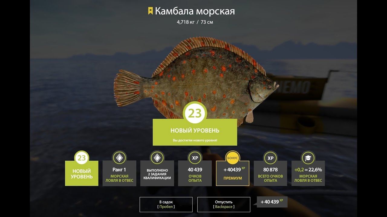 РУССКАЯ РЫБАЛКА 4 - ТРОФЕЙ КАМБАЛА МОРСКАЯ!! смотреть онлайн