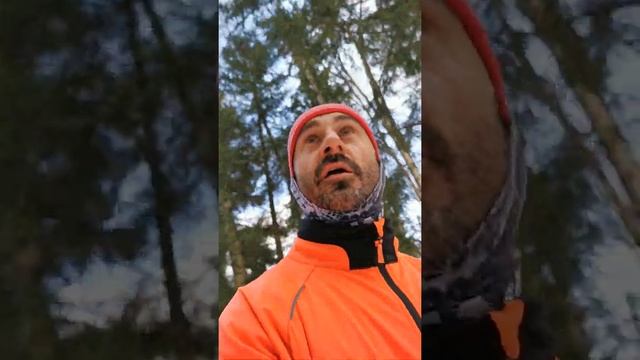 Габо, лыжный спорт смотреть онлайн