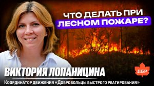 КАК ВЕСТИ СЕБЯ ПРИ ЛЕСНОМ ПОЖАРЕ | Советы от от пожарного-добровольца