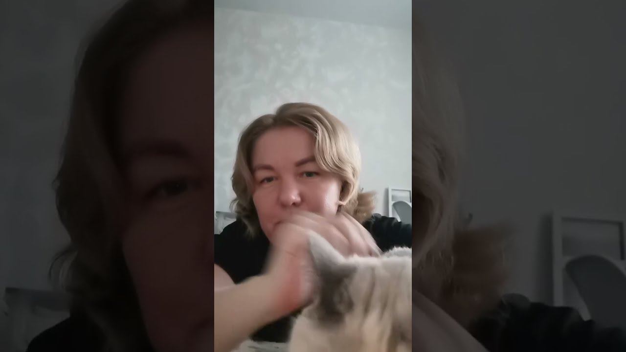 Лапароскопическая стерилизация кошки (отзыв) смотреть онлайн