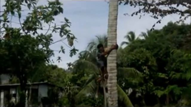 Lae png holiday 2012 смотреть онлайн