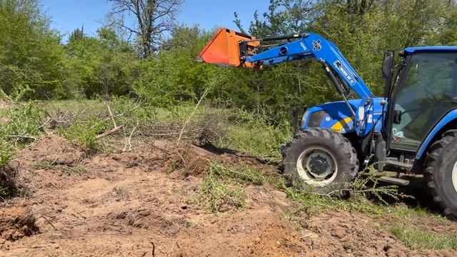 Prickly Pear Cactus Removal, Bald Eagle Sighting and More Land Clearing. смотреть онлайн
