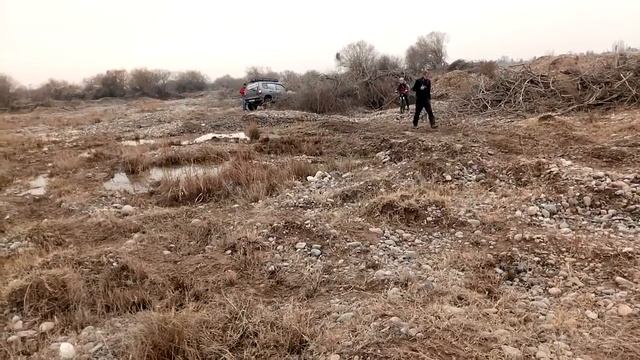 GPS ориентирование. 31.12.2021. Часть 8. Лифта много не бывает. смотреть онлайн