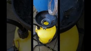 Обработка абрикоса после цветения.