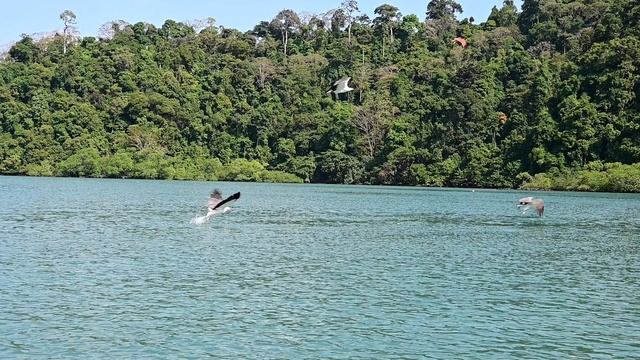 DSC_9103 смотреть онлайн