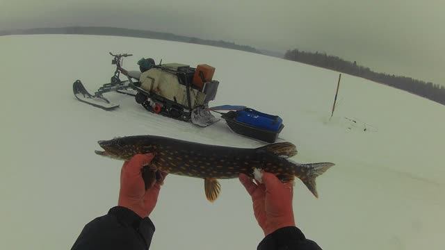 Киноочерк.Как поймать щуку на ерша в марте