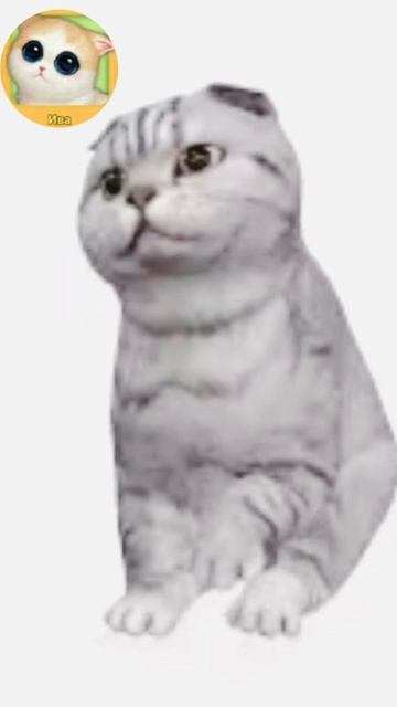 kitten match.3д Китти,Ива и @leo_cat смотреть онлайн