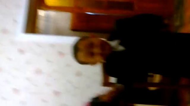 танцует Кара Жорга и ГИМН смотреть онлайн