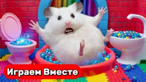 Лабиринт для Хомяка 🐹 НОВЫЙ СЛОЖНЕЙШИЙ ЛАБИРИНТ для Умного Хомяка ! Видео для детей