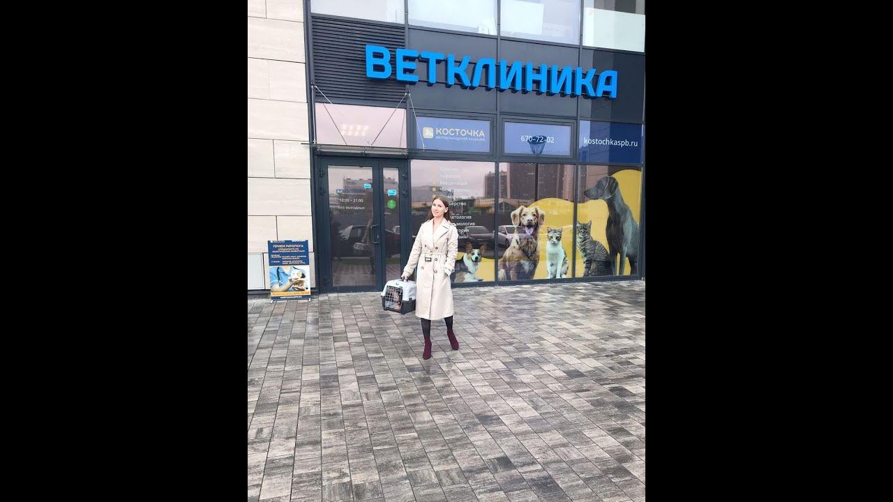 В ветеринарной клинике "Косточка" смотреть онлайн