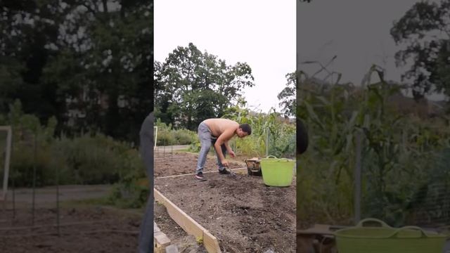 Single digging raised bed смотреть онлайн