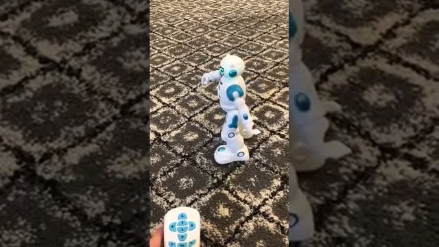 UBTECH Alpha 1 Pro Humanoid Robot смотреть онлайн